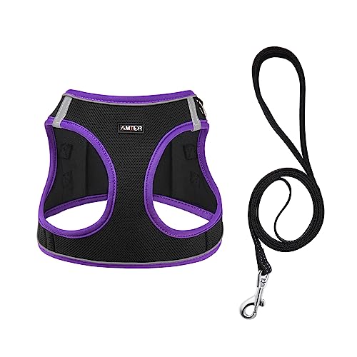 Black/Purple