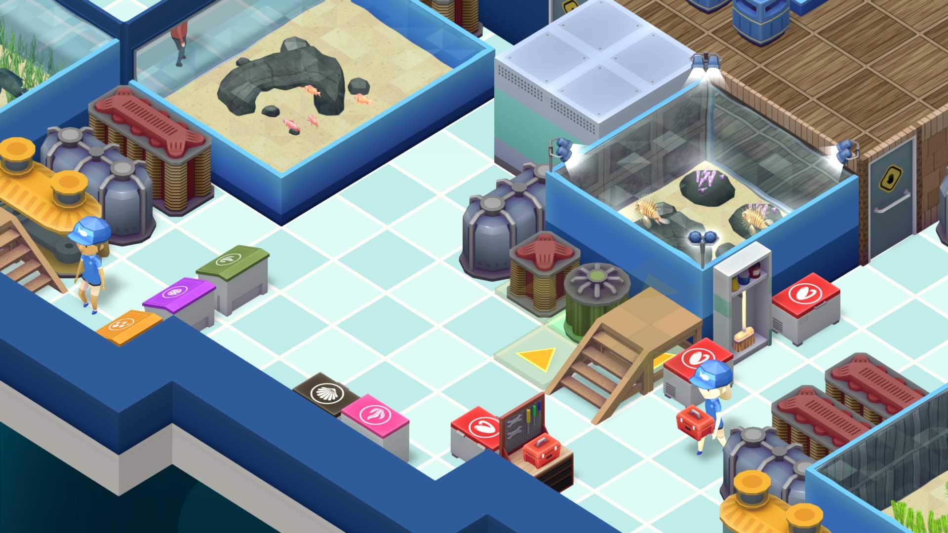 Megaquarium PC DVD Game - Build & Manage Your Dream Aquarium - Perfect for Simulation & Strategy Game Lovers | Play at Home or Office