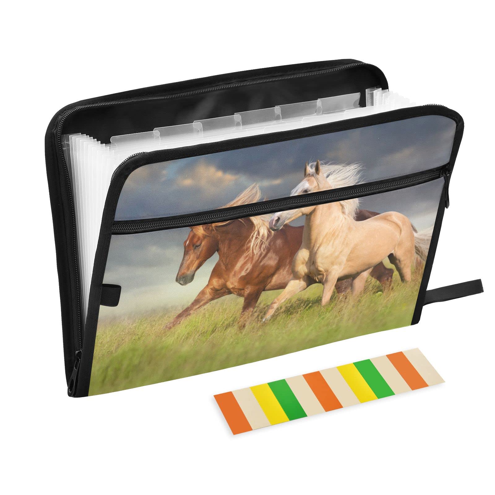 Palomino Horse Accordion File Organizer - 13 Pocket Expanding Zipper Folder for A4 & Letter Size Documents | Home Office & School Organization | Perfect for Bills, Receipts & Important Papers