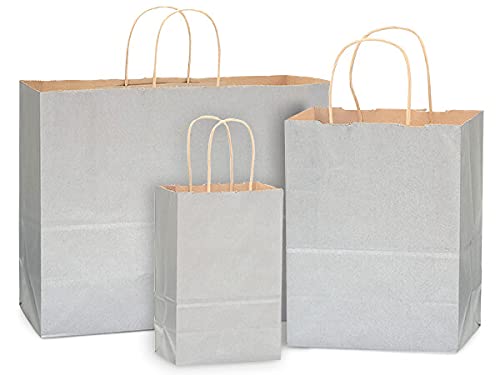 Eco-Friendly Recycled Kraft Paper Shopping Bags - Metallic Silver (125 Pack) - Perfect for Retail Stores, Boutique Gift Packaging & Party Favors