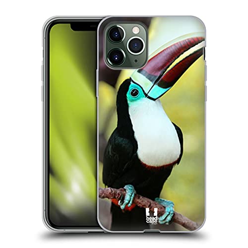White Throated Toucan