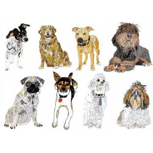 Dogs2