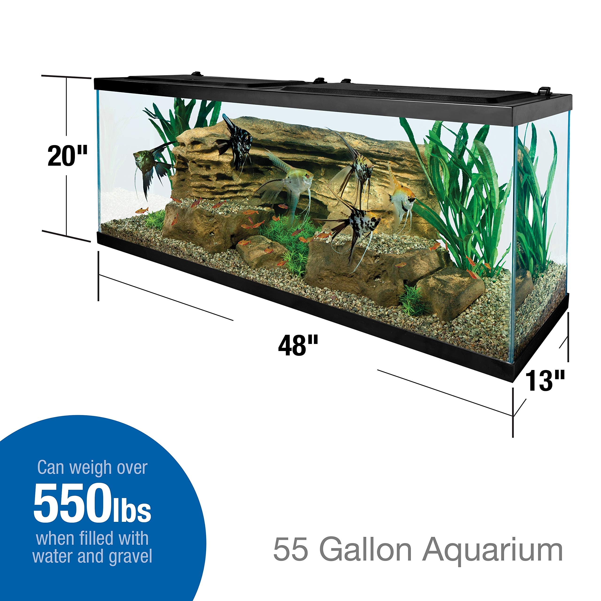 55 Gallon Tetra Glass Aquarium - Rectangular Fish Tank for Freshwater & Saltwater (NV52018) - Perfect for Home, Office & Classroom Aquascaping