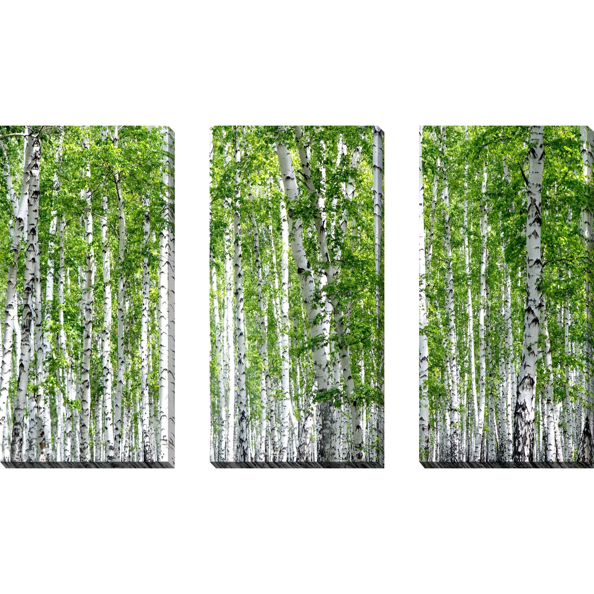 Birch Trees III 3-Piece Canvas Wall Art Set - Nature Inspired Landscape Paintings for Living Room, Bedroom & Office Decor