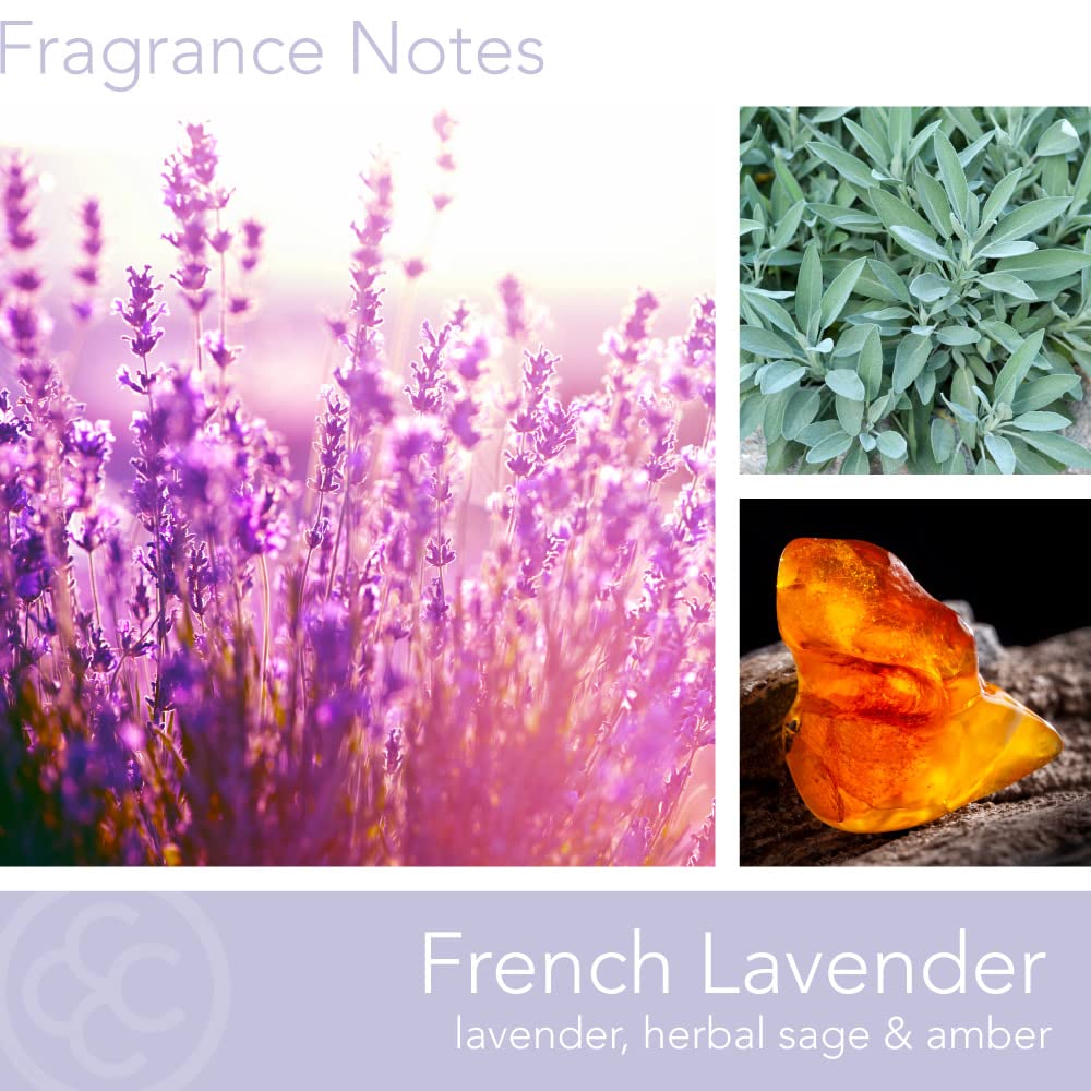 Colonial Candle French Lavender Scented Jar Candle - 19oz 2-Wick Purple Candle with 120-Hour Burn Time | Classic Cylinders Collection | Home Decor, Relaxation & Aromatherapy