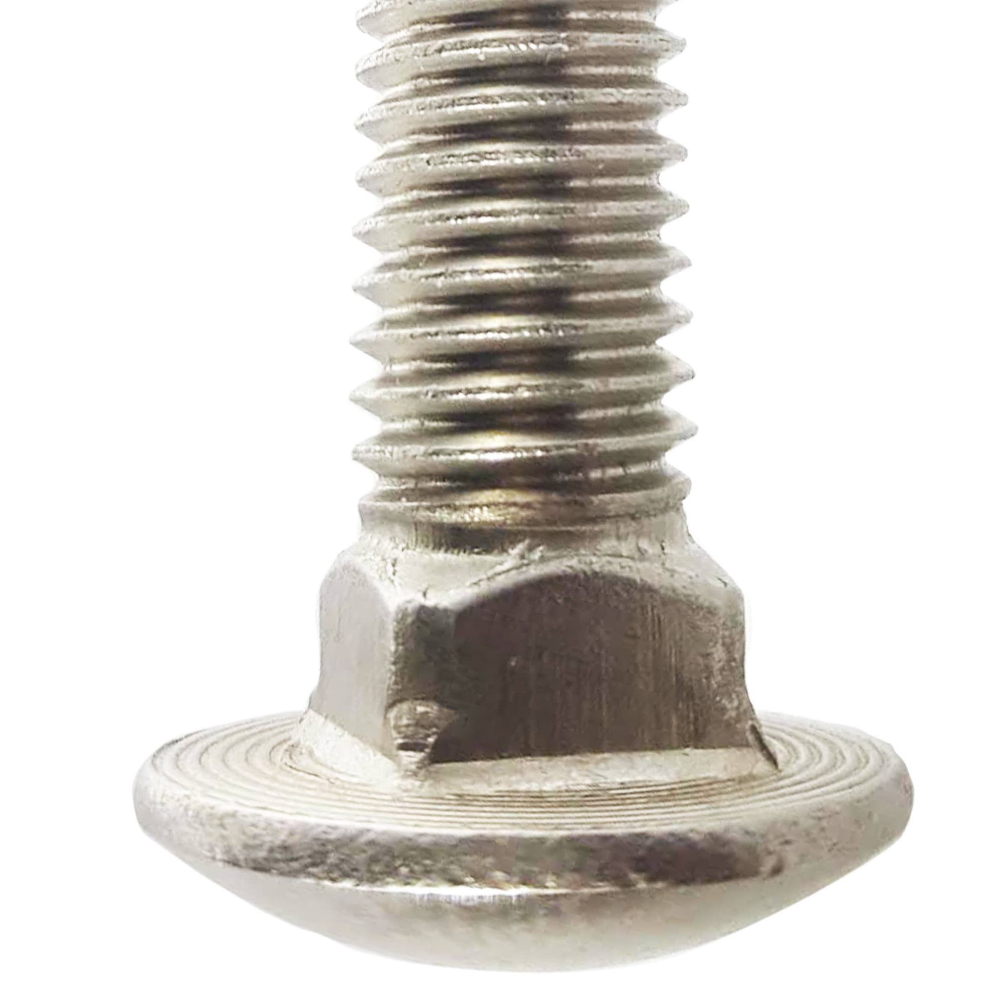 Stainless Steel 18-8 Carriage Bolts 5/16-18 x 2
