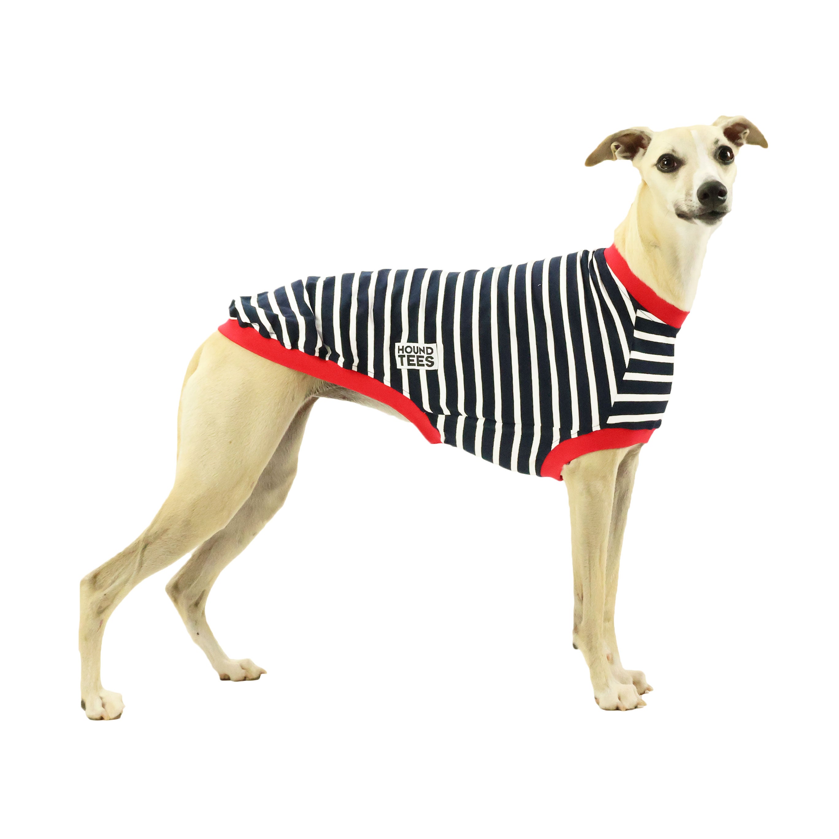**Aussie Whippet Sleeveless Hound T-Shirt - Breathable & Comfortable Dog Tee for Active Pets - Perfect for Walks, Playtime & Outdoor Adventures**