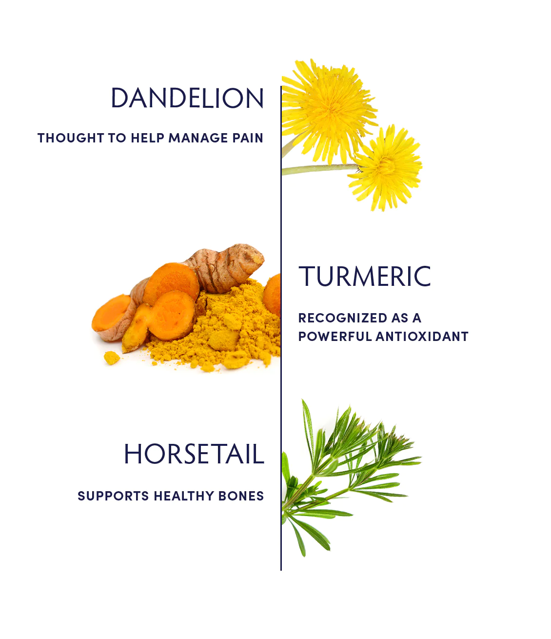 Naturopathica Turmeric & Puzzlegrass Muscle & Joint Relief Tincture - Natural Pain Relief for Arthritis, Sore Muscles & Joint Discomfort - Perfect for Athletes, Active Lifestyles & Post-Workout Recovery
