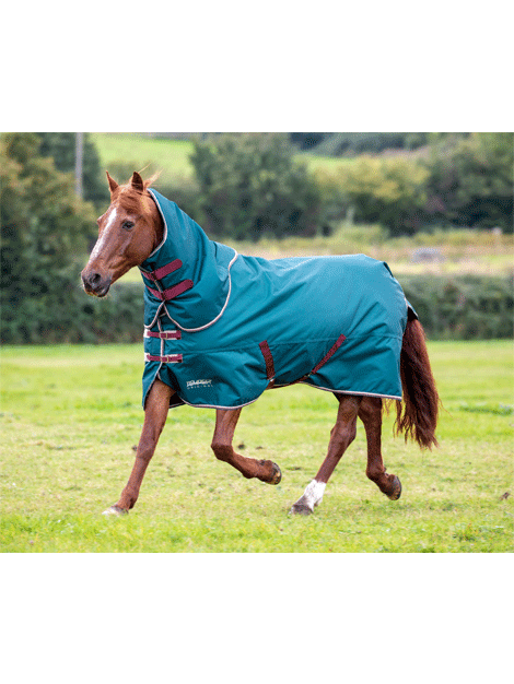 Shires Tempest Medium Weight Turnout Rug & Neck Cover - Waterproof Horse Blanket for Winter Riding and Stable Use