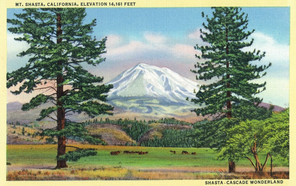 24x36 Signed Mount Shasta California Landscape Art Print - Premium Wall Decor Poster for Living Room, Office & Bedroom - Stunning View from Field 23889 by Master Artist