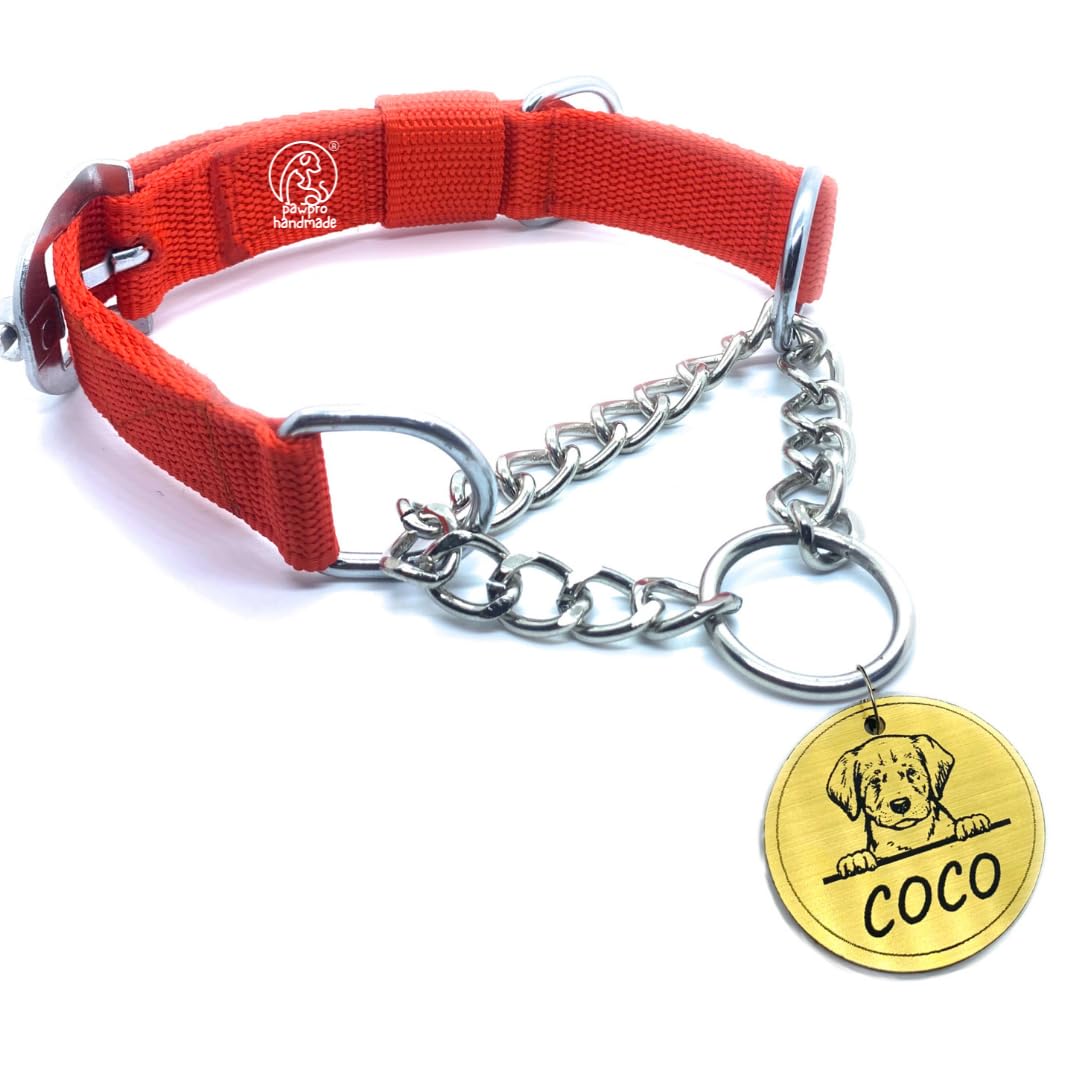 Customized Red Dog Chain Collar with Round Name Tag - Personalized Pet ID Collar for Large Breed Dogs | Perfect for Daily Walks, Training & Outdoor Adventures