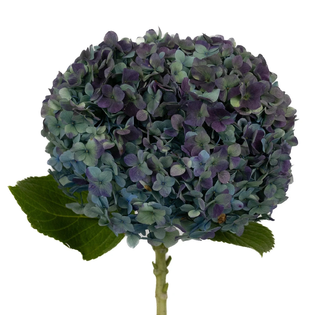 Antique Blue Jumbo Hydrangea Silk Flower - Large Artificial Floral Arrangement for Wedding Centerpieces, Home Decor, and Event Styling
