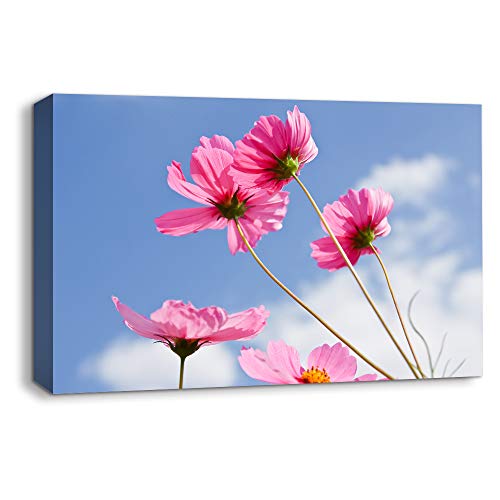 Flower-1907-m03