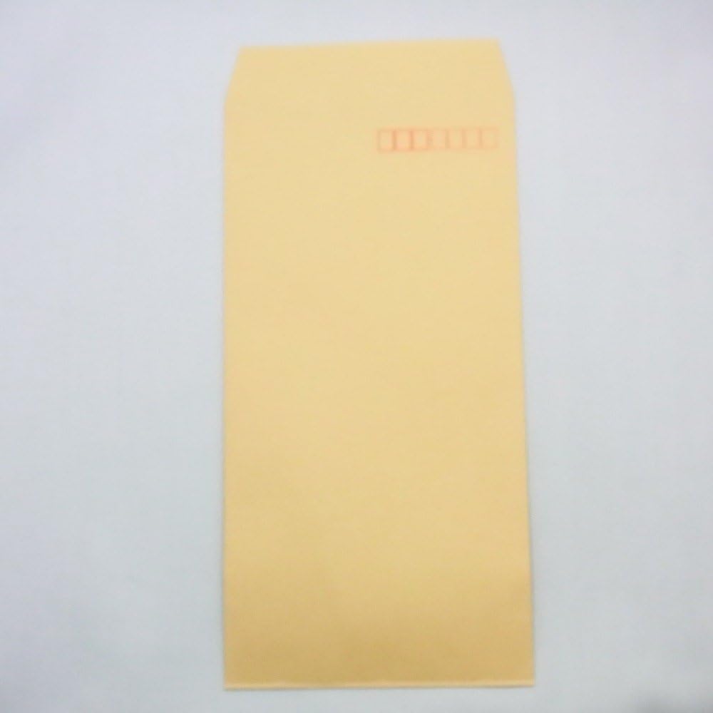 Marui PN-Z137 Long No. 3 Brown Kraft Envelopes with Mailing Frame - 100 Sheets for Mailing, Business Correspondence & Document Storage