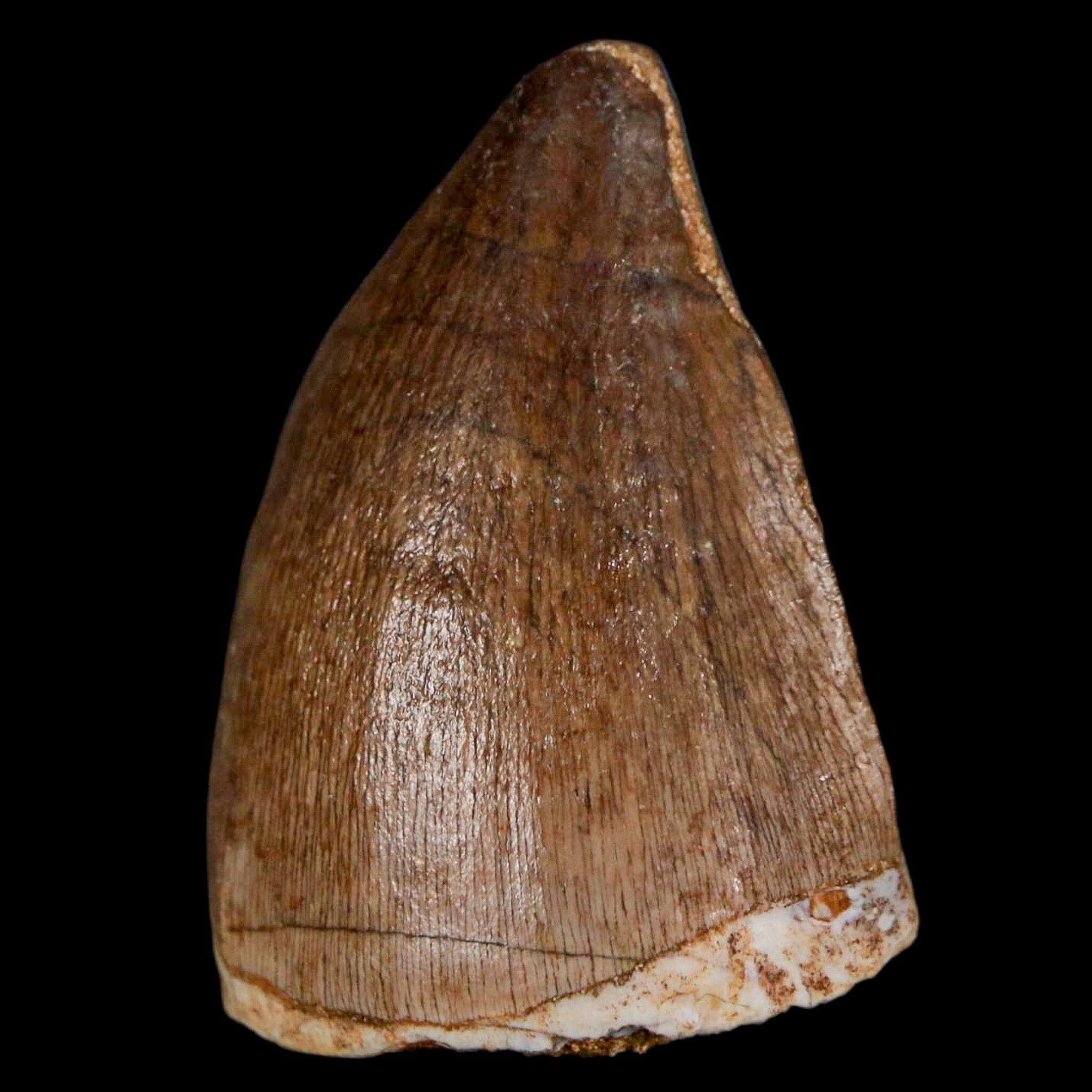 1.5