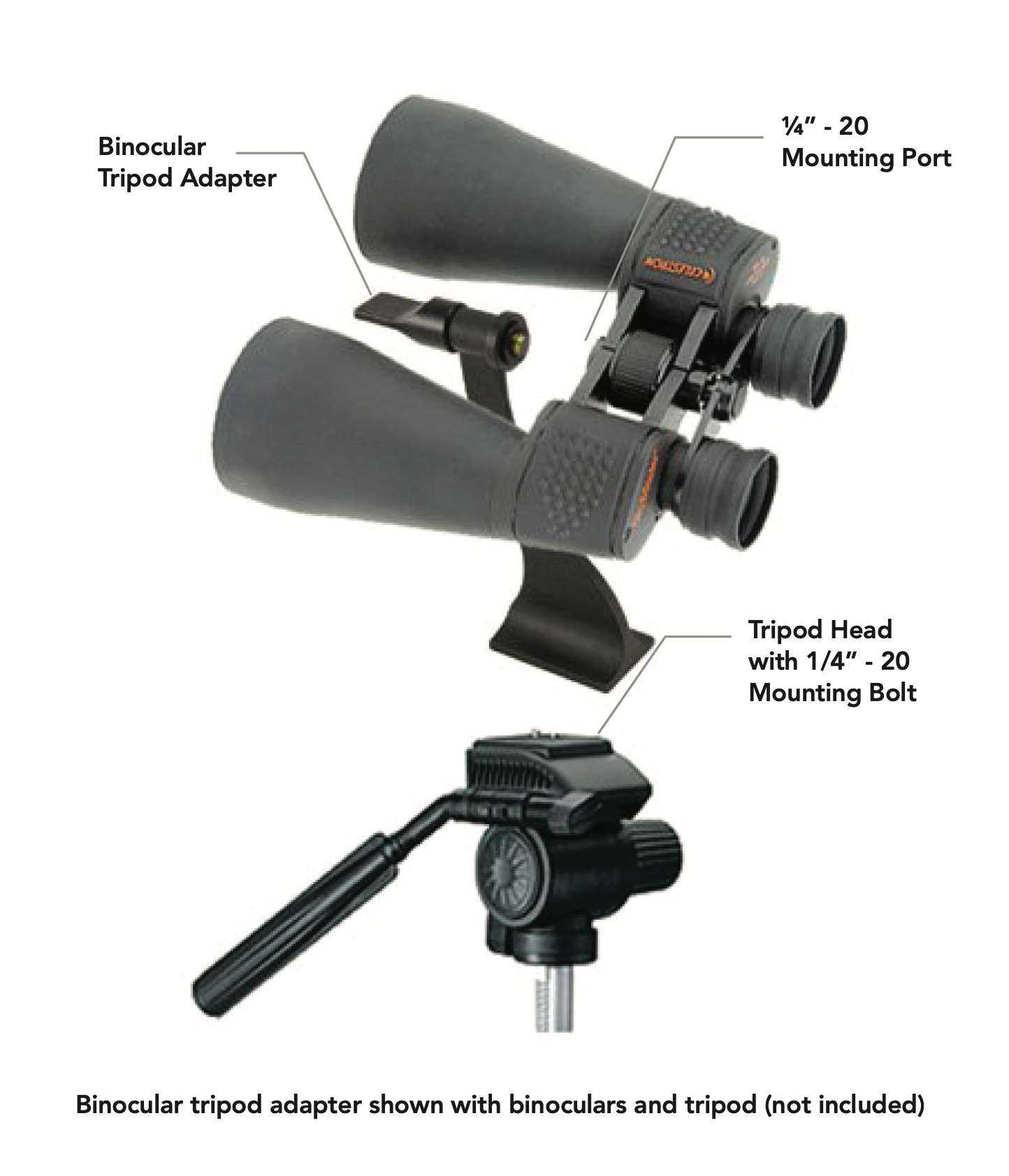 Celestron Binocular Tripod Adapter - Universal Mount for Astronomy & Bird Watching - Compatible with Most Binoculars - Perfect for Stargazing, Hunting & Outdoor Adventures