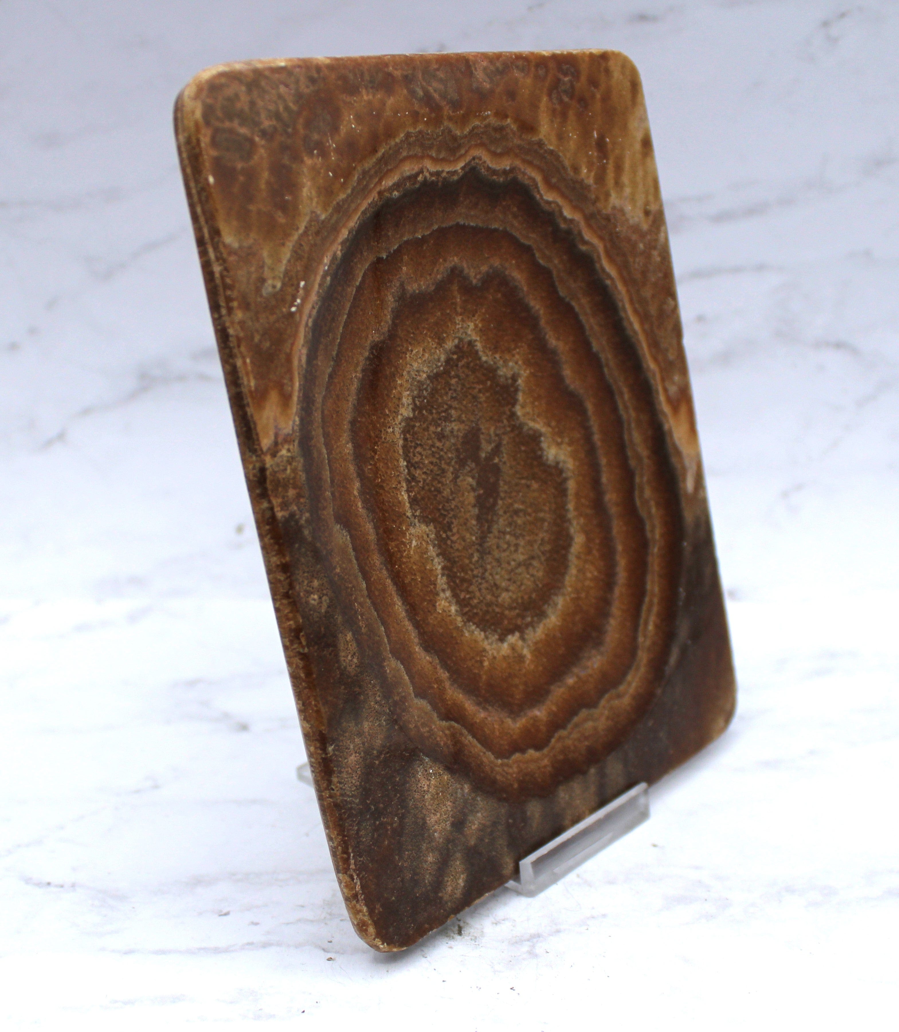Premium Aragonite Dish 6