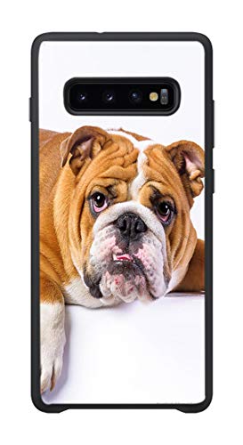 For S10 Plus(6.4in)