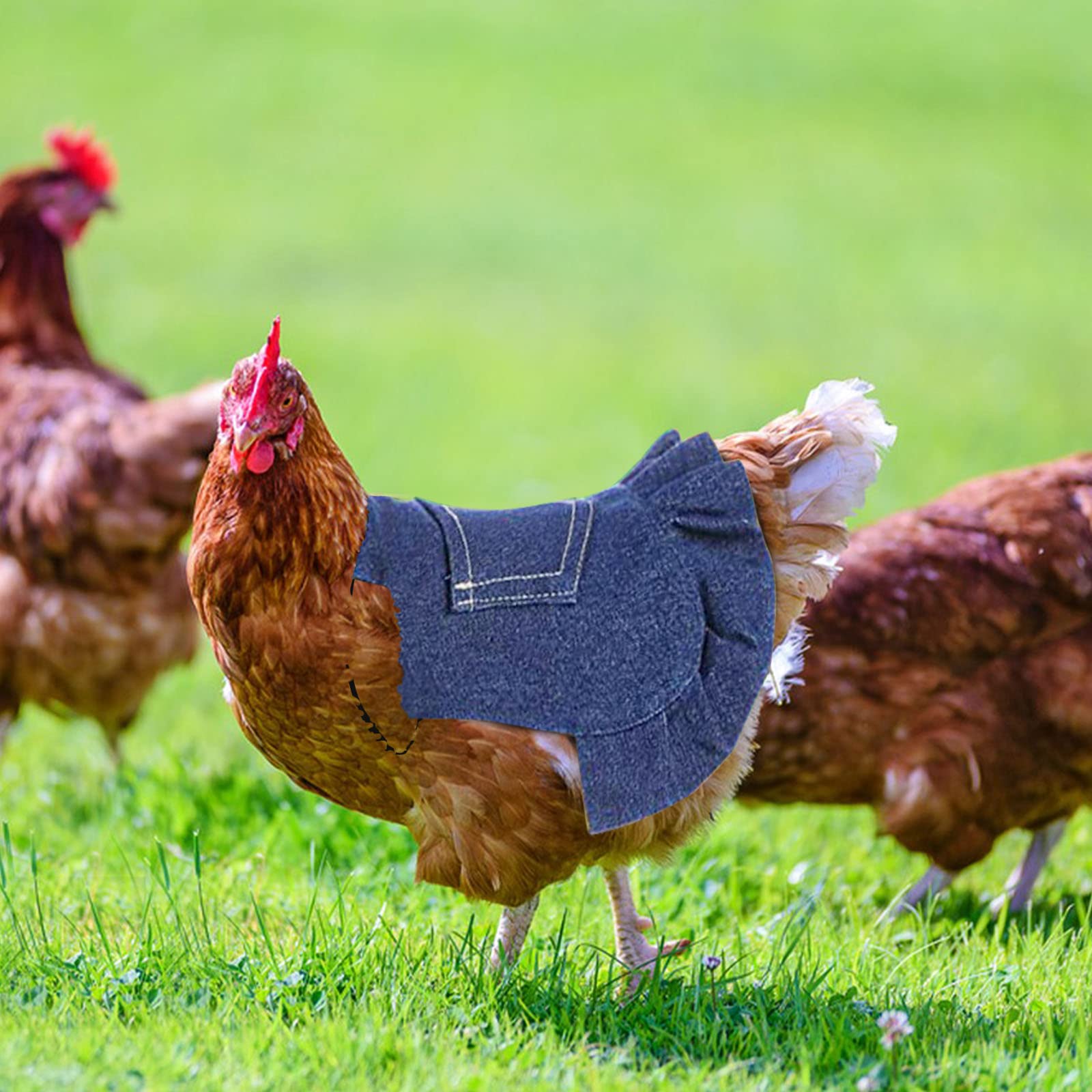 3 Pack Chicken Saddle Hen Apron - Adjustable Poultry Wing Protector with Elastic Straps for Chickens, Ducks & Geese | Prevent Feather Damage & Pecking Injuries During Free Range & Backyard Farming
