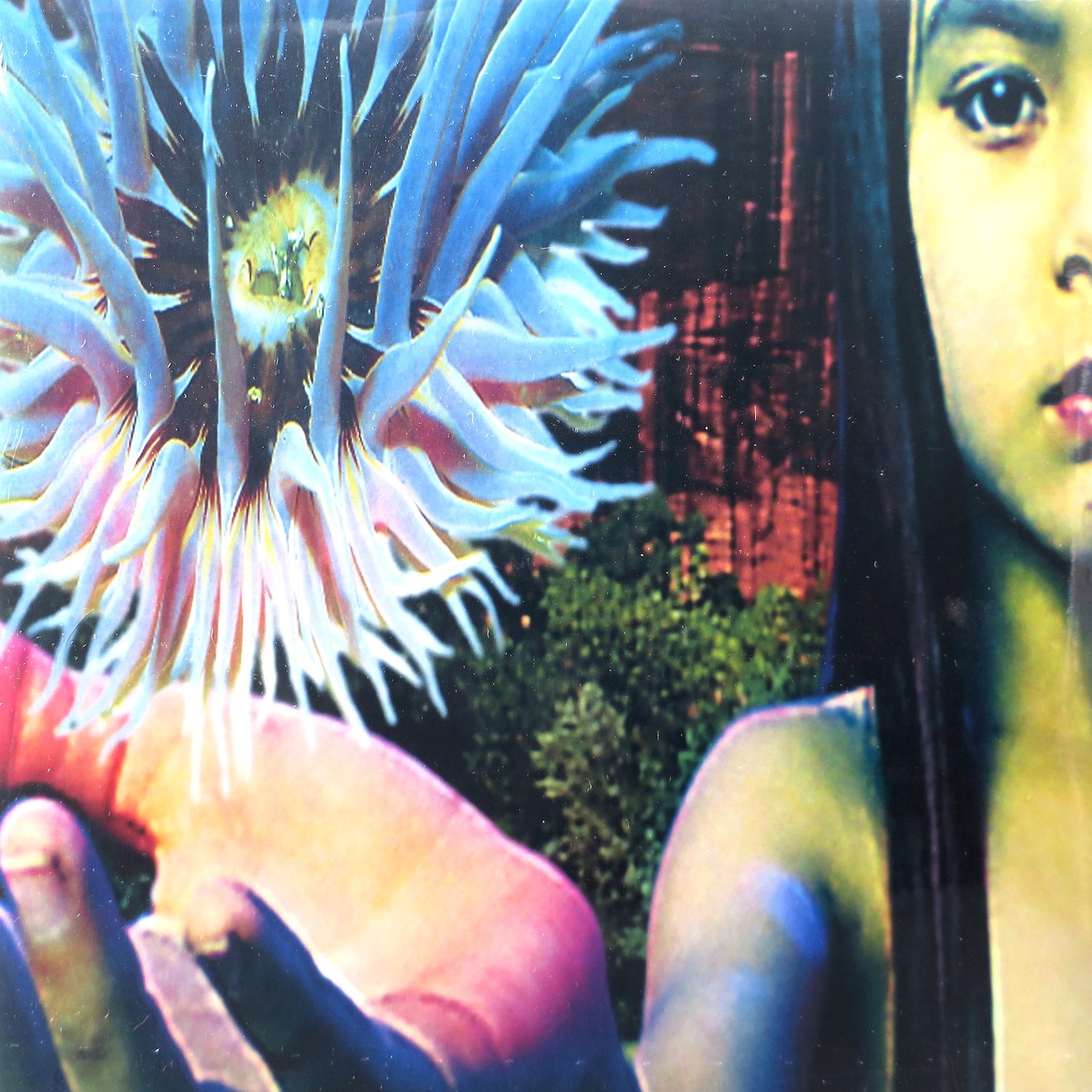 FUTURE SOUND OF LONDON 'Lifeforms' 180g Vinyl 2LP Record - Limited Edition Electronic Music Album for Audiophiles & Vinyl Collectors - Perfect for Home Listening & DJ Sets