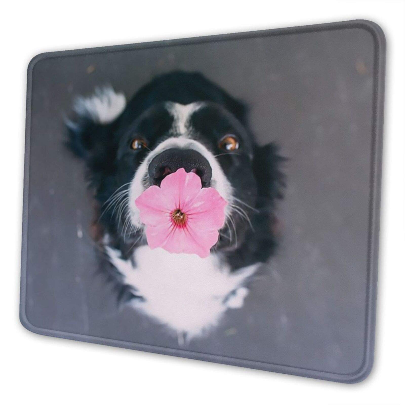 Premium Non-Slip Stitched Edge Mouse Pad - Washable Rubber Base Desk Mat for Office & Home (8.3x10.3x0.12 inch) - Perfect for Work, Gaming & Daily Computer Use - Border Collie & Floral Design