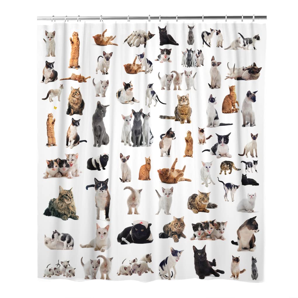 LOKMU Cat Shower Curtain - Waterproof Machine Washable Fabric Bathroom Decor with Hooks, 60x72 Inches - Perfect for Modern Bathrooms & Pet Lover Home Decor