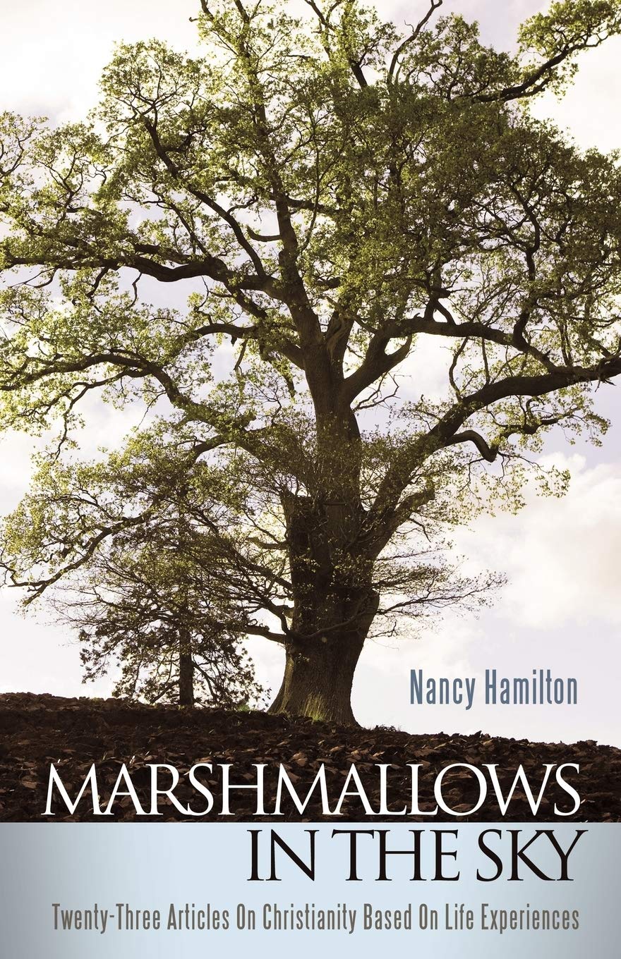 Sky Marshmallows: 23 Inspiring Christian Articles Based on Real Life Experiences - Perfect for Bible Study & Personal Reflection