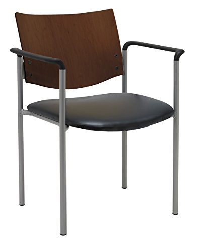 Black Anti-bacterial Vinyl