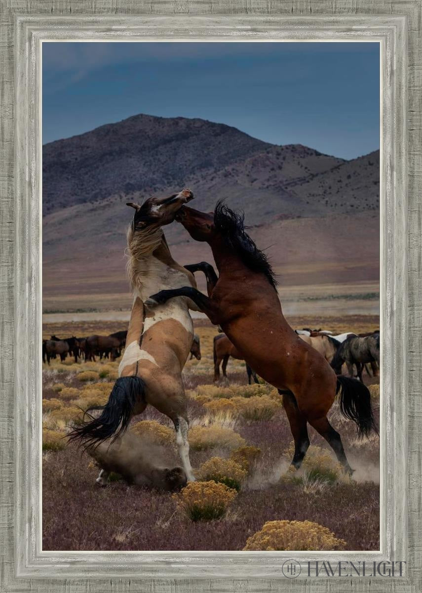 Desert Duel 1 by Greg Sargent - Western Adventure Novel for Adults | Perfect for Book Clubs, Gifts & Western Fiction Fans
