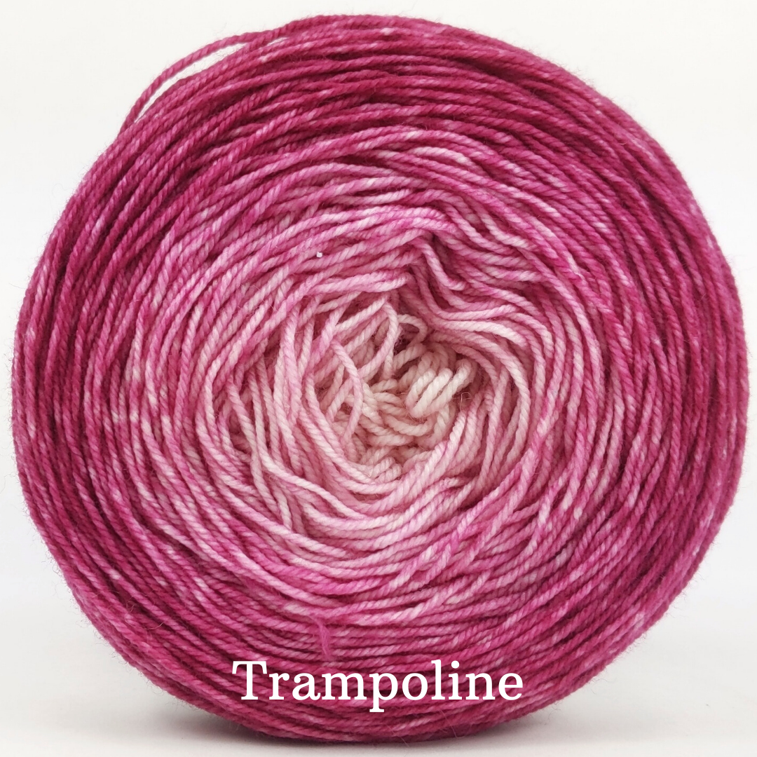 Knitcircus Yarns - A Rose by Any Other Name Chromatic Gradient Yarn | Hand-Dyed Ready to Ship | Perfect for Knitting & Crochet Projects