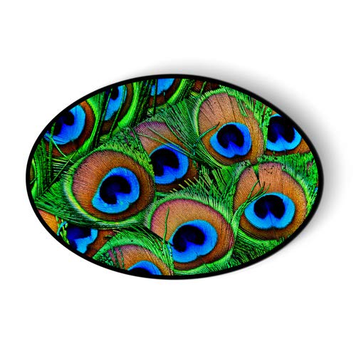 Peacock Feathers Oval Magnet for Car Fridge Locker - 5.5 Inch Decorative Magnet - Perfect for Home, Office, and Gift Giving