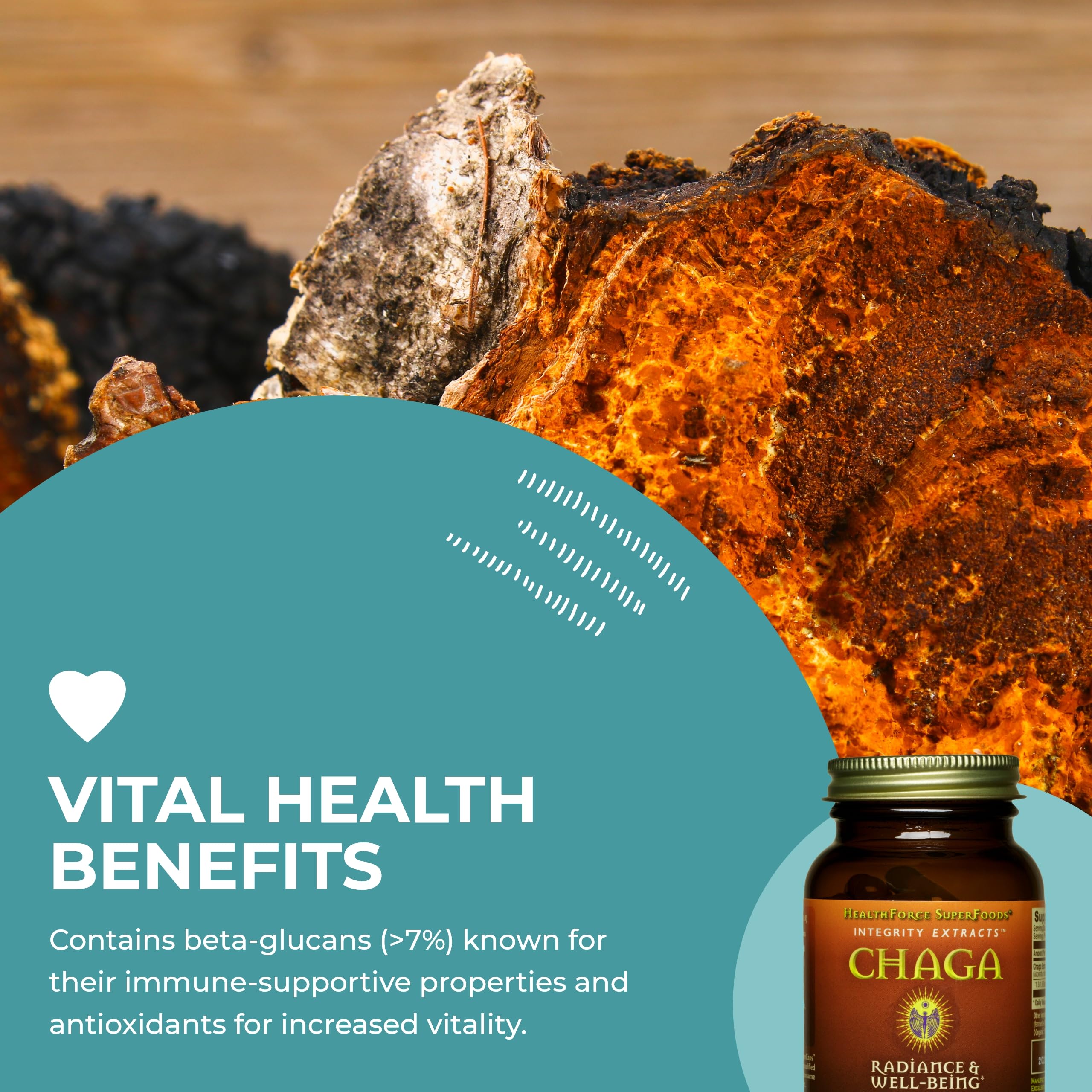 HealthForce SuperFoods Organic Chaga Mushroom Powder - 150g | Immune Support, Antioxidant Boost | Perfect for Smoothies, Coffee & Wellness Drinks