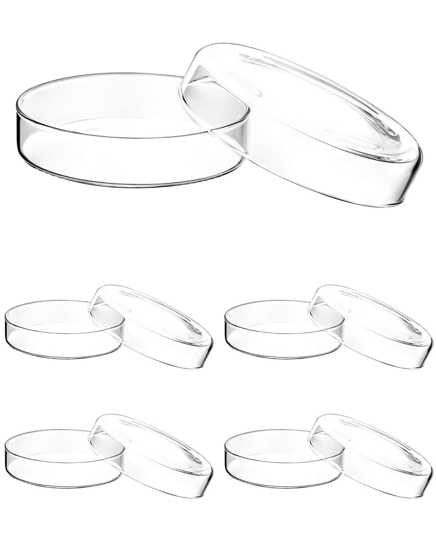 QWORK 100mm x 23mm Thick Glass Petri Dishes with Lid - 5 Pack for Science Experiments, Bacterial Cultures, Seed Germination & Biological Storage | Perfect for School Labs, Research Projects & STEM Education