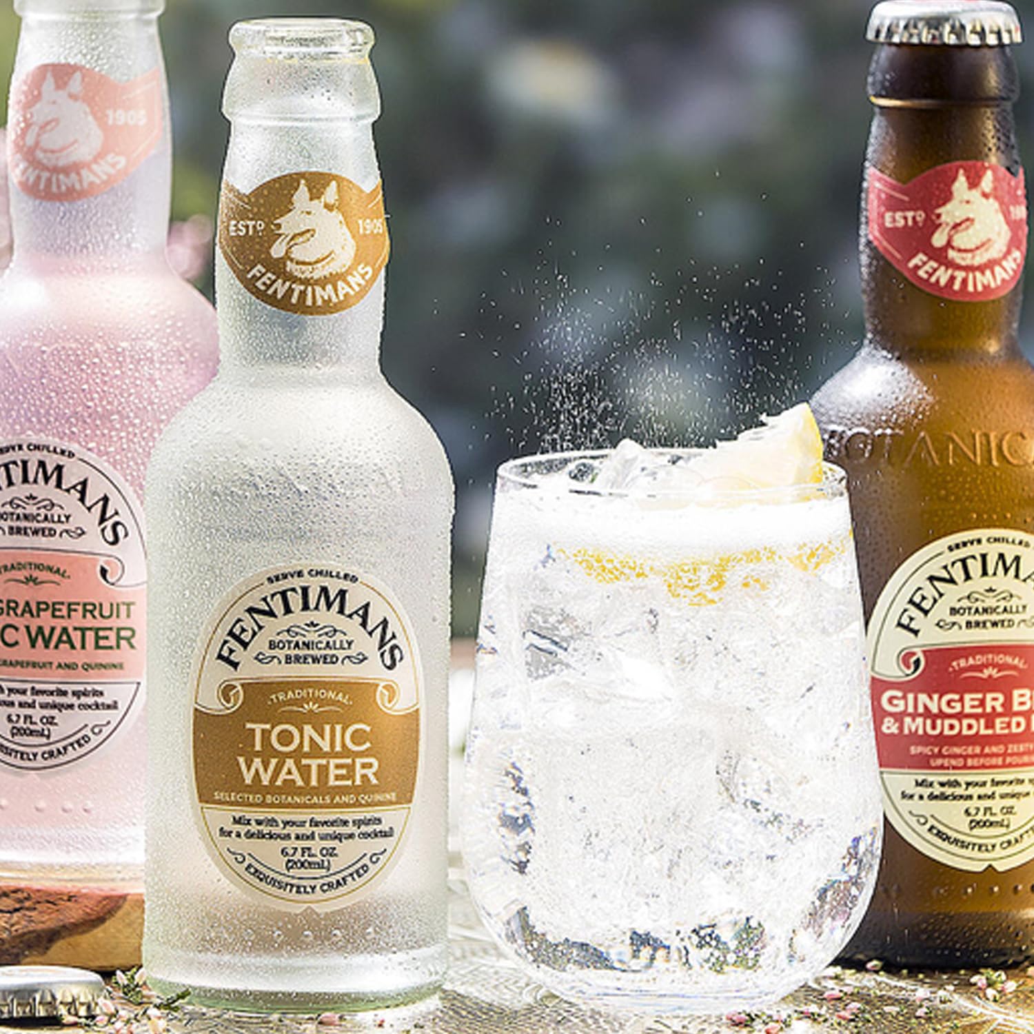Fentimans Botanically Brewed Natural Tonic Water - Premium Mixer for Cocktails, Mocktails & Refreshing Beverages (6.7 fl oz Bottles, Pack of 12) - Perfect for Gin & Tonic, Vodka Mixers, Party Drinks & Home Bar Essentials