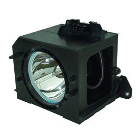 Original Title: Technical Precision Replacement for Light Bulb/LAMP 106003 Projector TV Lamp Bulb   Optimized Title: **High-Precision Replacement Bulb for Projector & TV - LAMP 106003 - Compatible with Multiple Brands - Ideal for Home Theater & Office Presentations**
