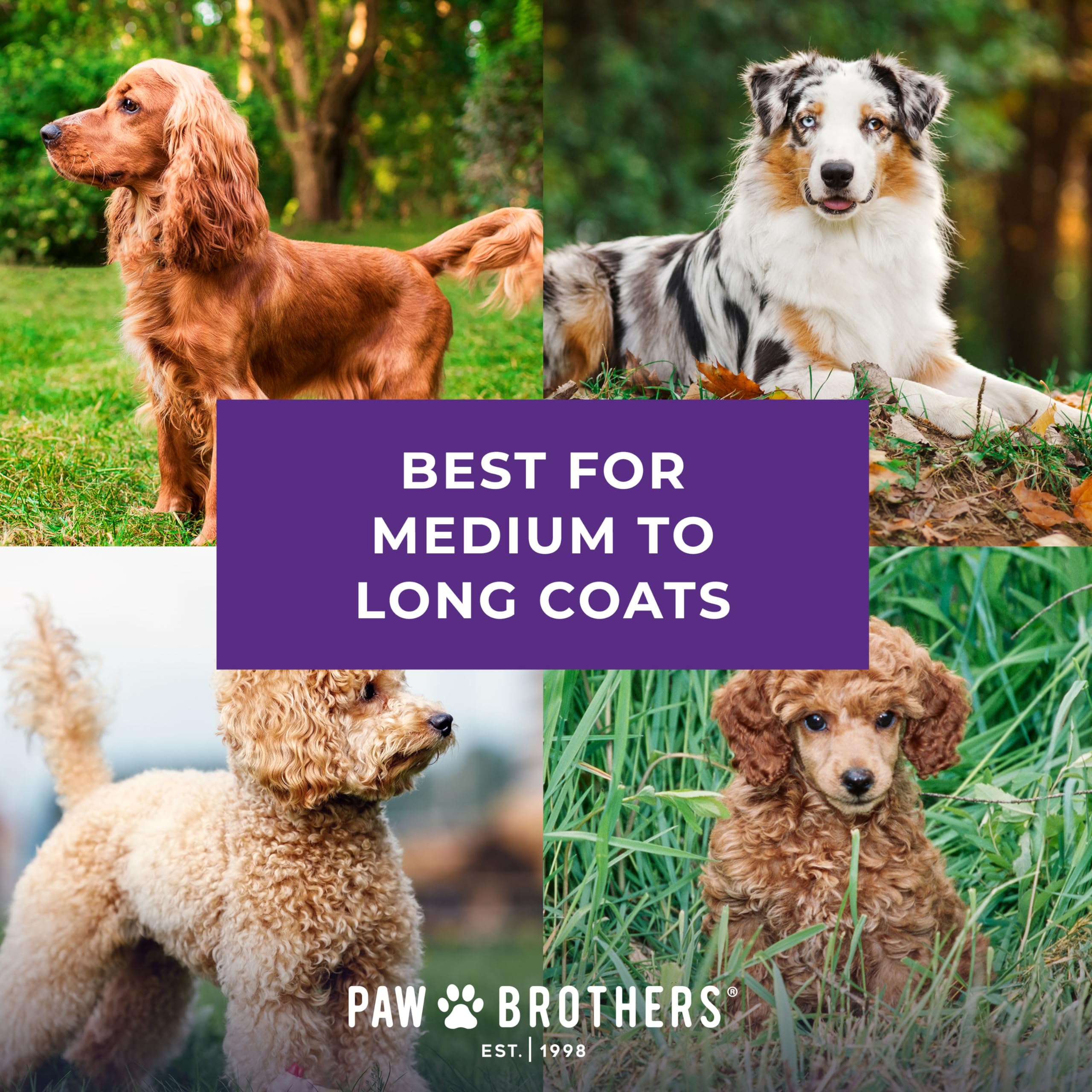Ryan's Pet Supplies Paw Brothers Soft Flat Slicker Brush for Dogs - Gentle Grooming Brush with Coated Tips for Small & Medium Dogs | Maximum Coverage & Skin-Friendly | Perfect for Daily Brushing & Shedding Control