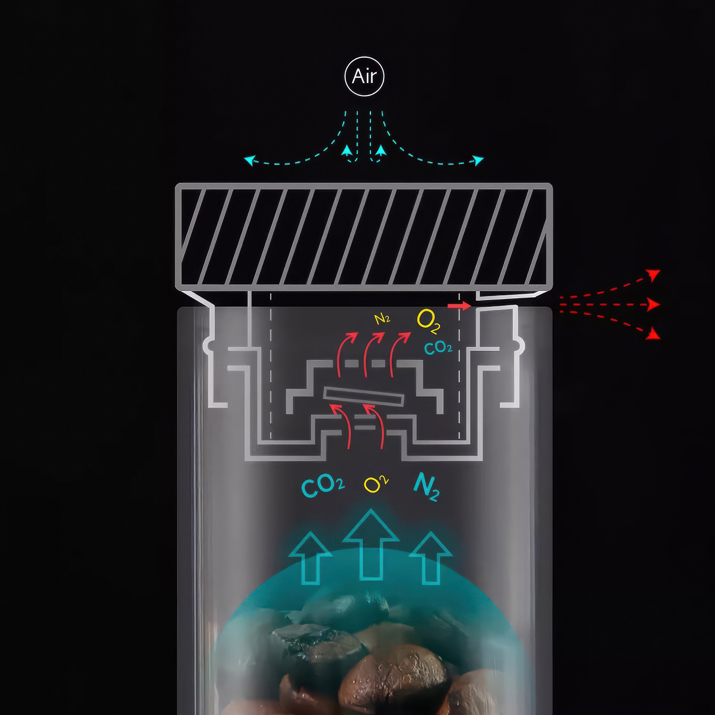 Premium Coffee Bean Storage Container & Degassing Stand - Airtight, Clear View, Perfect for Home Baristas & Coffee Shops - Ideal for Freshness & Flavor Preservation