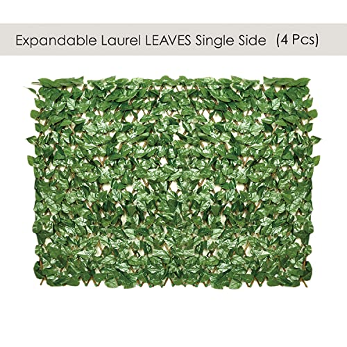 Laurel