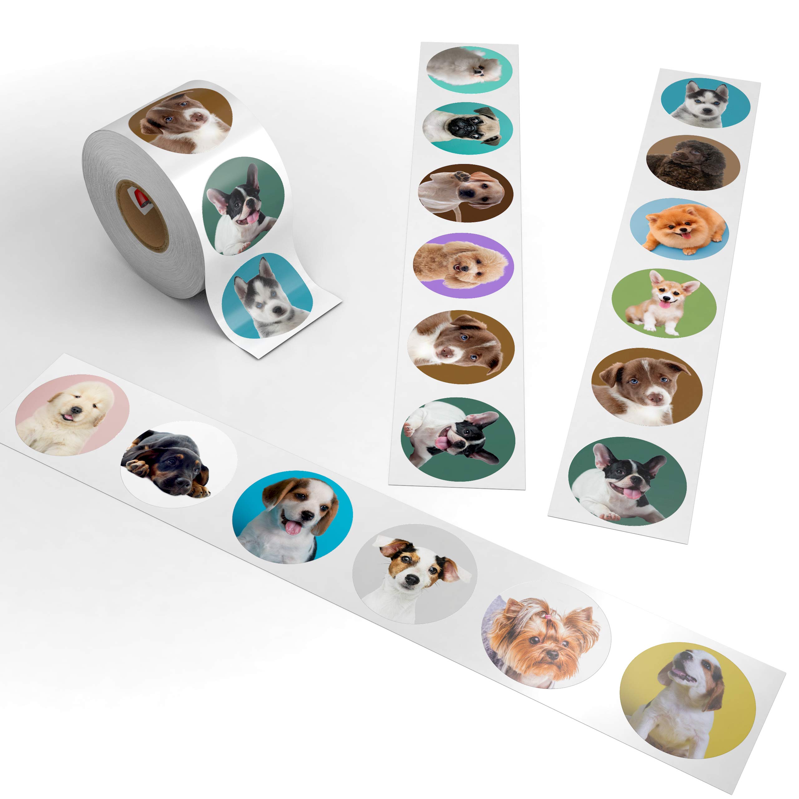 500 Fun Stickers for Kids - Puppies, Kittens, Emoji, Smileys, Trucks, Dinosaurs & More | 1.5 Inch Circle Motivational Reward Stickers | Made in USA | Perfect for School, Scrapbooking & Reward Charts