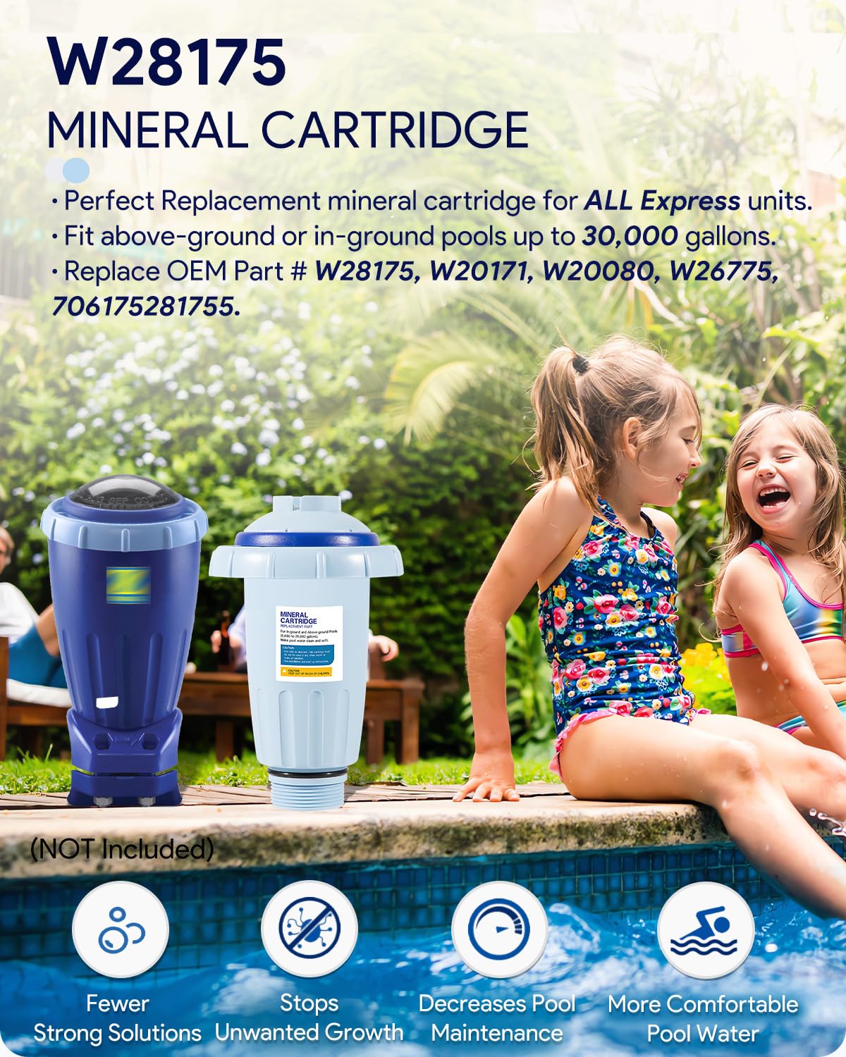 Nature2 Express Mineral Cartridge W28175 Replacement for Pool System - Compatible with In-Ground & Above-Ground Pools up to 30,000 Gallons (Fits W20171, W20080, W26775) - Keep Your Pool Clean & Healthy Year-Round