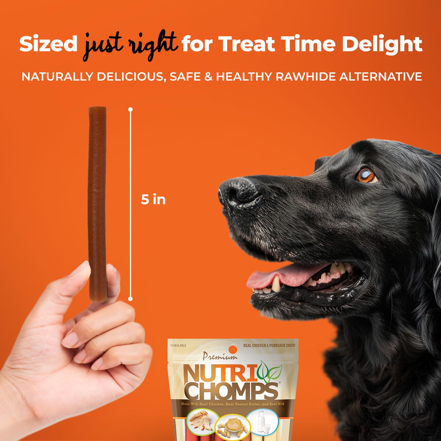 Nutri Chomps Dog Chews - 5-inch Rawhide-Free Twists with Real Chicken, Peanut Butter & Milk Flavors - Easy to Digest Dog Treats (15 Count) - Perfect for Training, Teething & Dental Health