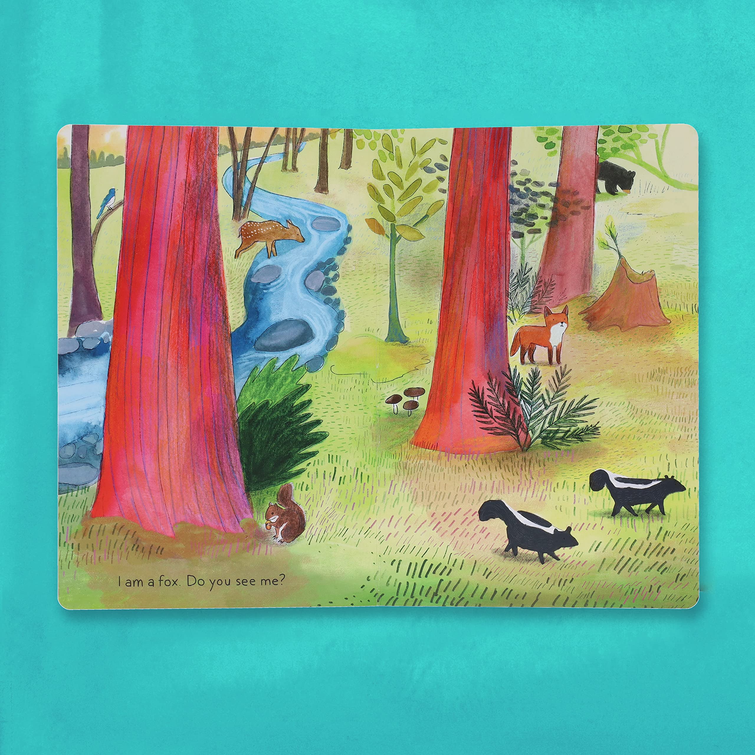 A Kit Story (An Animal Story) – Heartwarming Children's Book for Bedtime Reading & Early Learning | Perfect Gift for Kids, Toddlers, and Animal Lovers