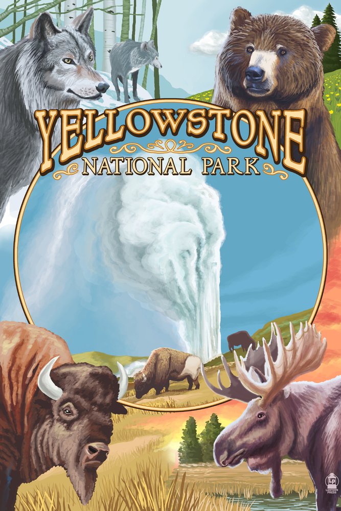Yellowstone National Park Wildlife Montage 24x36 Signed Art Print - Montana Landscape Wall Decor Poster for Living Room, Office & Cabin Decor
