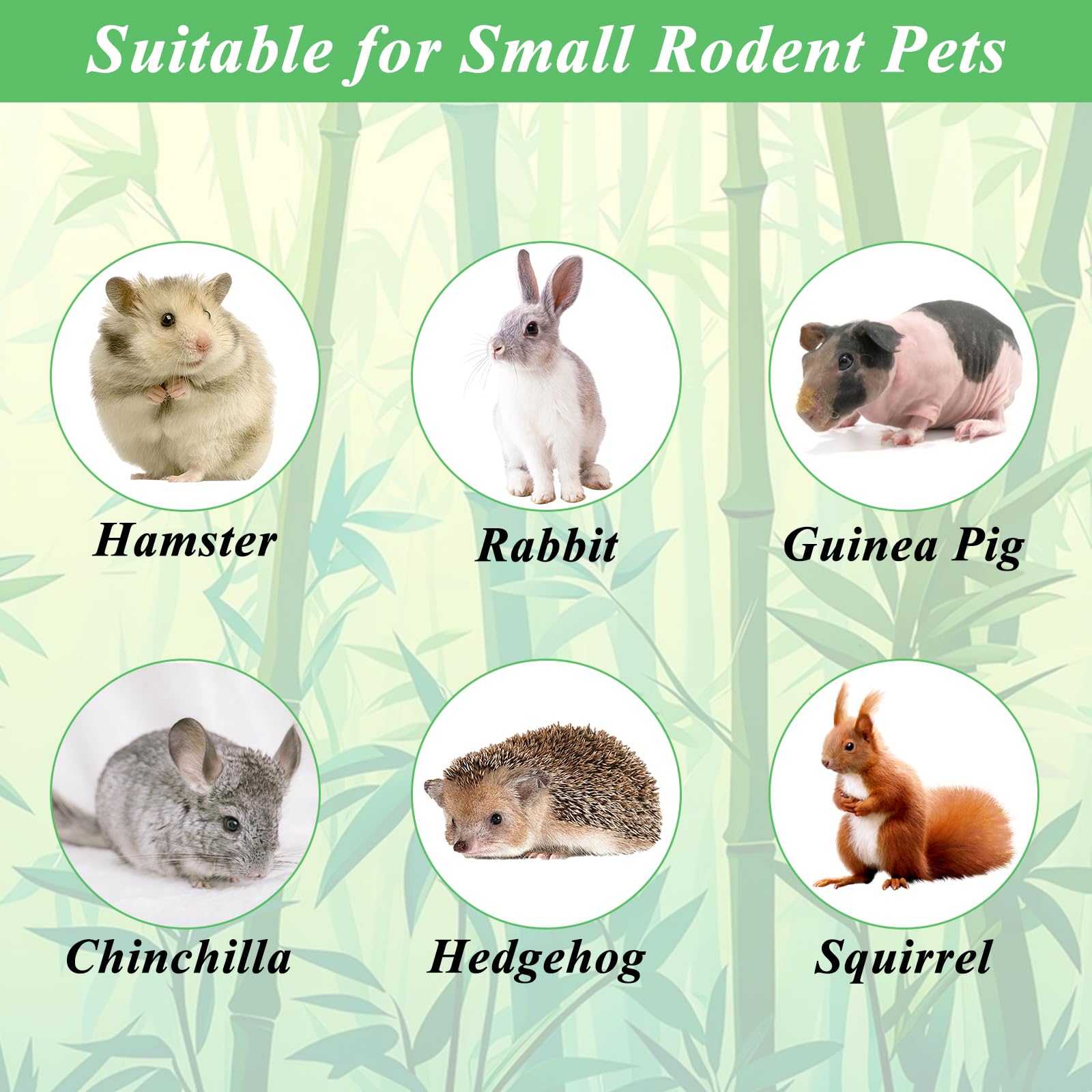 Natural Bamboo Chew Sticks for Rabbits - 2.2lb (1000g) Small Animal Teeth Grinding Toys - Safe Molar Treats for Bunnies, Hamsters, Chinchillas & Guinea Pigs - Perfect for Cage Enrichment and Dental Health