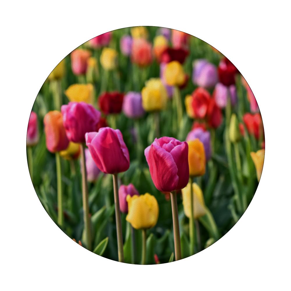 Tulip Flower Design PopSockets PopGrip - Reusable Phone Grip & Stand for iPhone, Samsung, Smartphones - Perfect for Selfies, Video Calls, and Secure Phone Handling