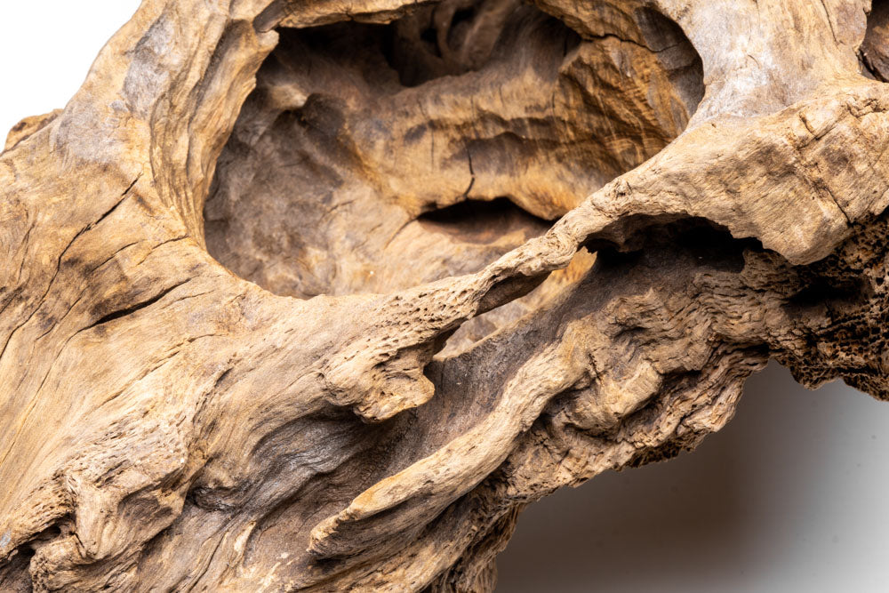 Natural Basin Driftwood for Aquarium Decor - Unique Wood Pieces for Fish Tanks, Terrariums & Home Decoration | Perfect for Aquatic Landscaping, Reptile Habitats & Zen Gardens