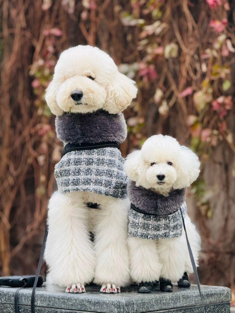 Moon River Coat - Stylish & Warm Winter Jacket for Women & Men - Perfect for Outdoor Activities, Travel & Casual Wear