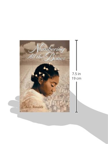 Numbering All the Bones - Historical Fiction Novel About Civil War & Slavery | Perfect for Book Clubs & American History Enthusiasts