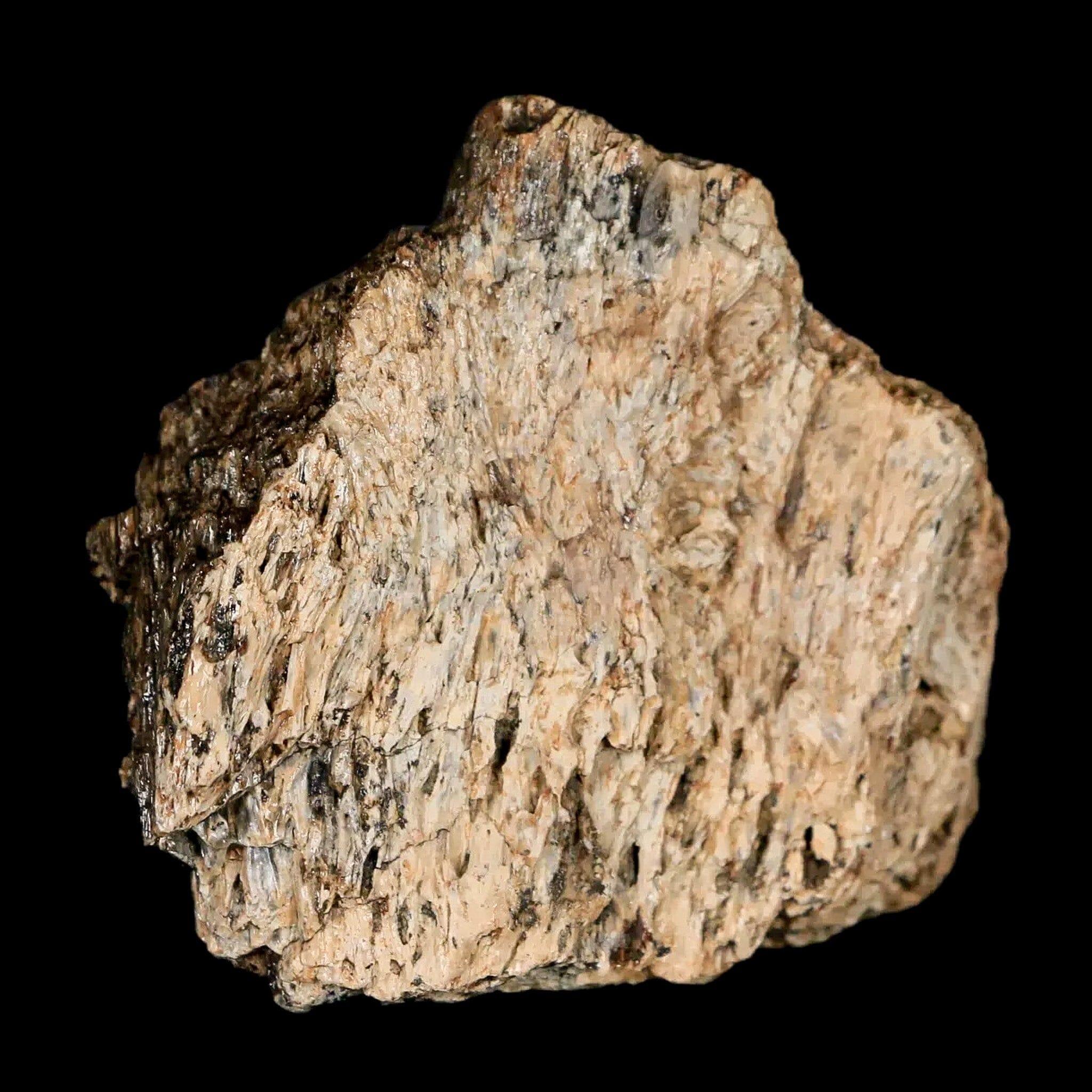 1.9