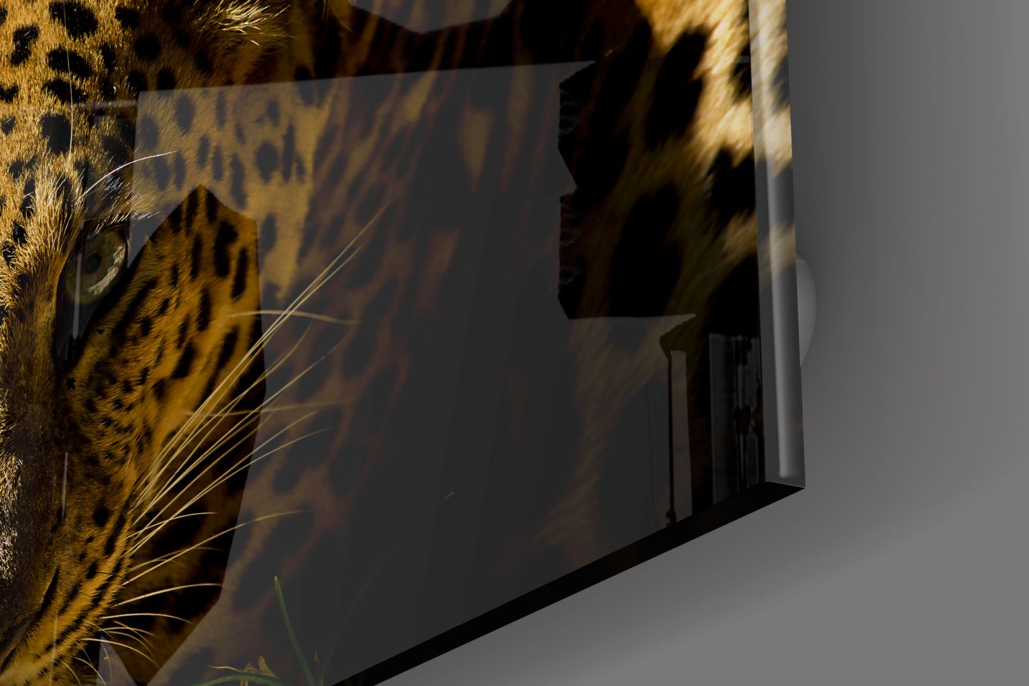 Leopard Print Fashion & Accessories for Women | Trendy Animal Print Clothing & Home Decor | Perfect for Parties, Halloween & Boho Style